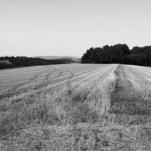 Landschaft Sommer 2025