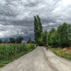 Am Marchfeldkanal (2)