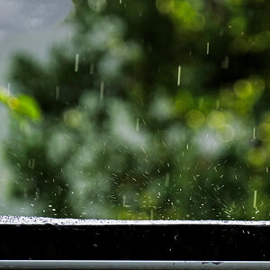hk_250801_blick_zum_garagendach.jpg