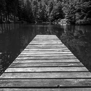 Still ruht der Waldsee
