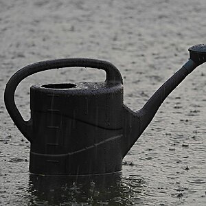 Schwarz sehen
