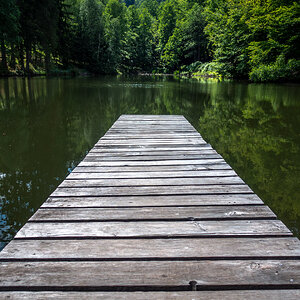Still ruht der Waldsee in Farbe