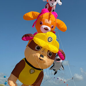 Paw Patrol