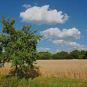 Fotografierwölkchen