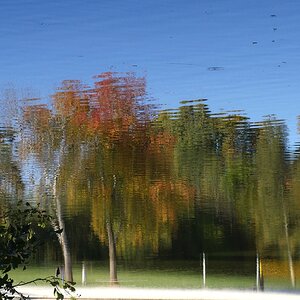 -verwackelt-
