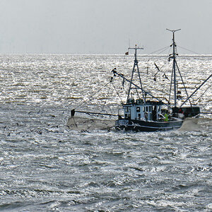 Fischkutter
