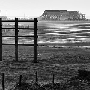 viel Holz am Strand