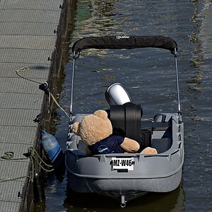 ... Käpt'n Blaubär