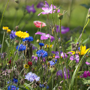 Und es war Sommer