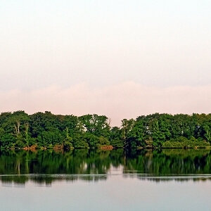 Grüne Insel