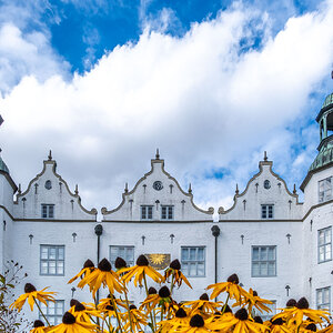 Blick durch die Blume