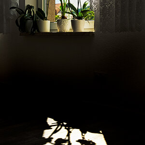 Fenster