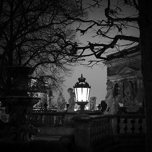 Zwinger-Nacht