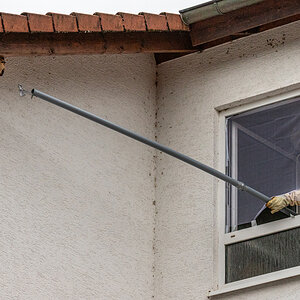 Asiatische Hornissen . Nest entfernen
