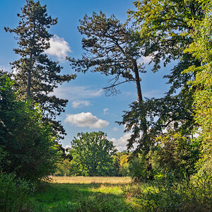 Baum September