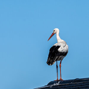 Besuch im Ferienpark an der Ijssel