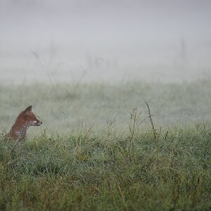 Im Blick!