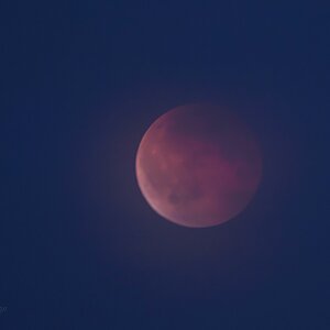 Blutmond I - verschleiert