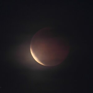 Blutmond II - verhuscht