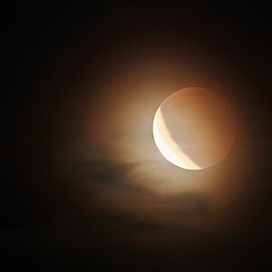 Blutmond III - vergesellschaftet