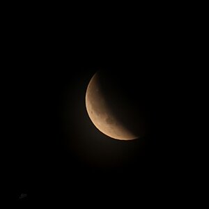 Blutmond IV - verdunkelt