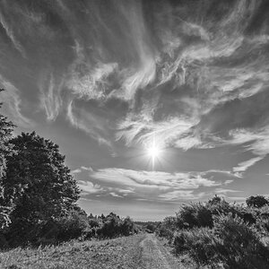 Wandern in der Hocheifel
