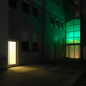 Das grüne Haus