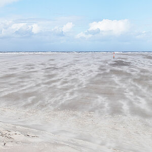 Treibsand