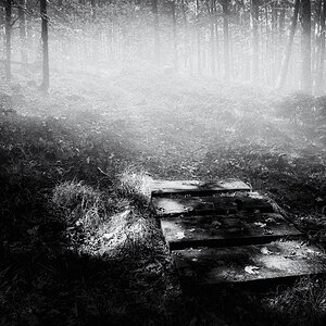 Waldweg