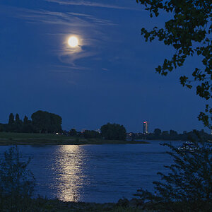 Fast Vollmond