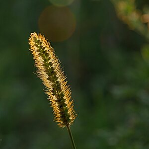 Im Abendlicht