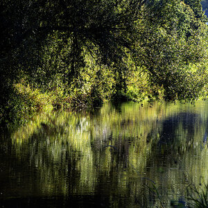 Junge Donau