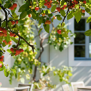 Sommerausklang