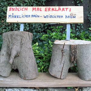Endlich mal erklärt....