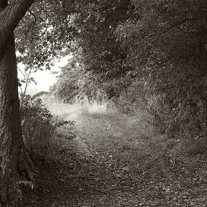 Herbstbild