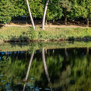 SpiegelX
