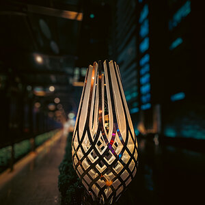 Bangkok Nights