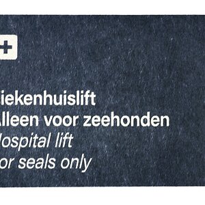 Auch Seehunde können Fahrstuhl fahren