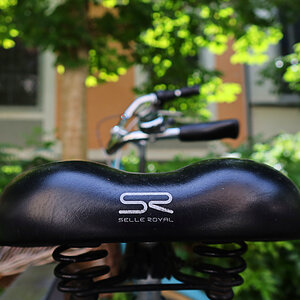 Selle royale