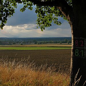 In der Abendsonne