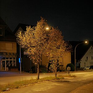 Spätsommer-Herbst