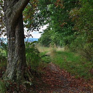 Herbstbild