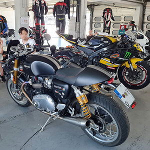 OOOOO....eine Thruxton