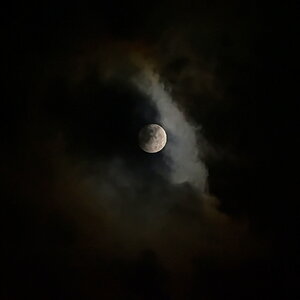 Beinahe Vollmond.