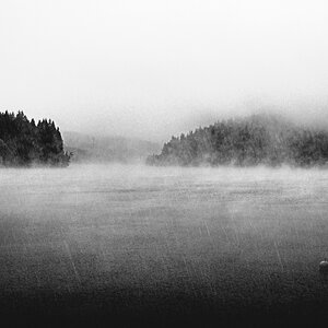 Nebel...