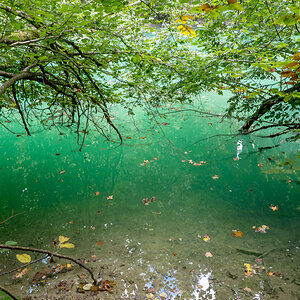 Herbst im See