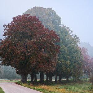 der Morgennebel lichtet sich