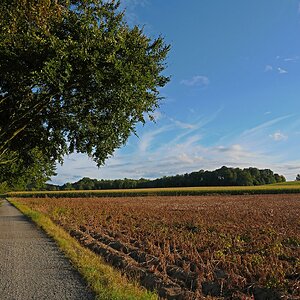 Medium 'Radwanderweg' in der Kategorie 'Landschaft'
