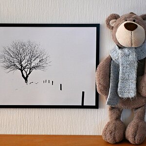 Medium 'Warm anziehen!' in der Kategorie 'Lieblingsbild für d-pixx foto 4/2025 - Baby, it's cold outside. Fotos aus den eigenen 4 Wänden.'