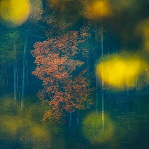 Medium 'Herbst - fast abstrakt' in der Kategorie 'Natur'